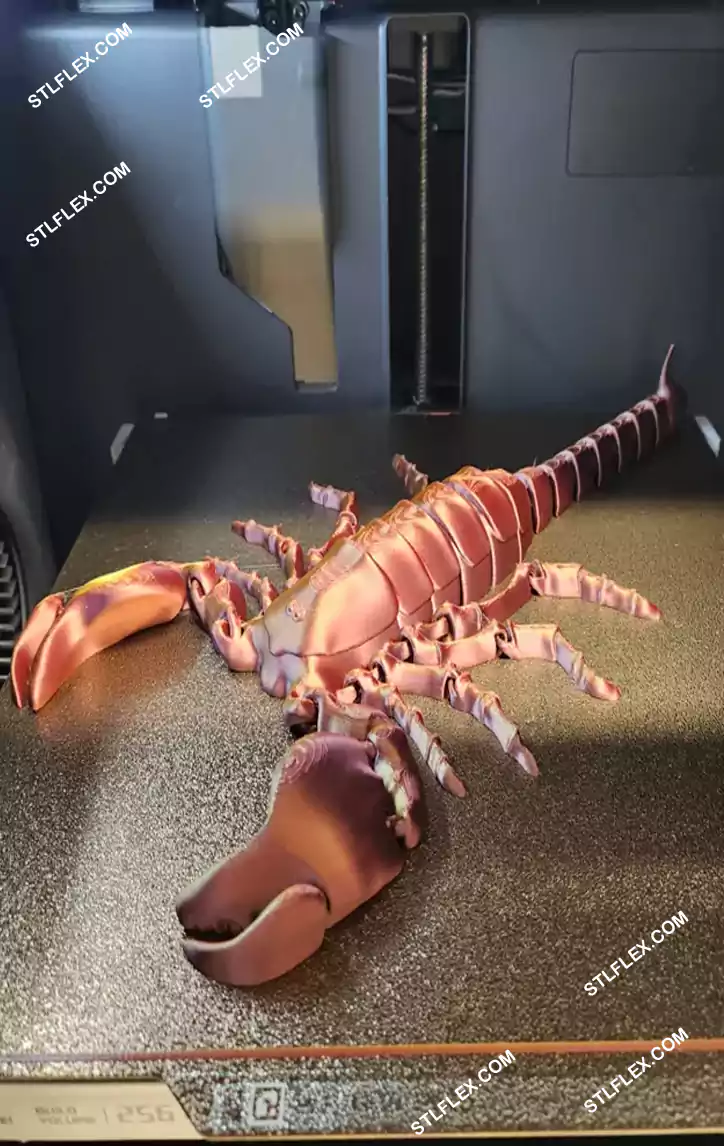 Flexi Scorpion 3D Print STL & 3MF Files