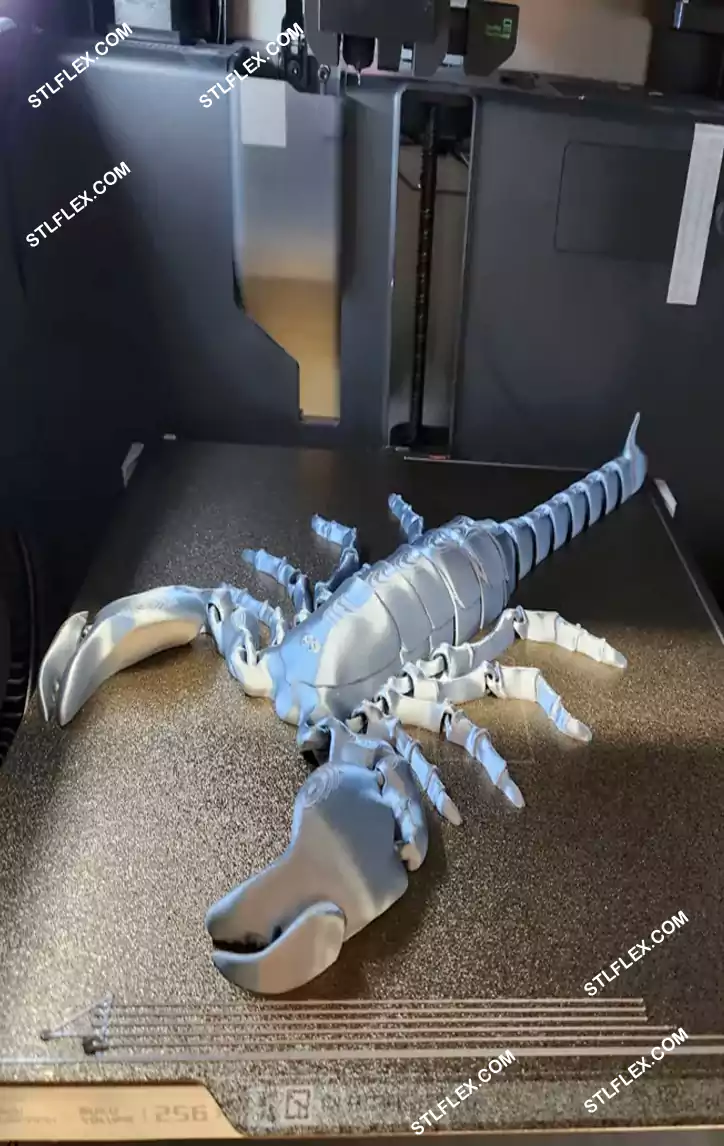 Flexi Scorpion 3D Print STL & 3MF Files