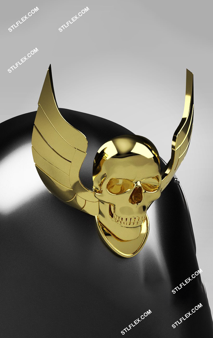 Warhammer Skull Paladin Helmet 3D Print STL File